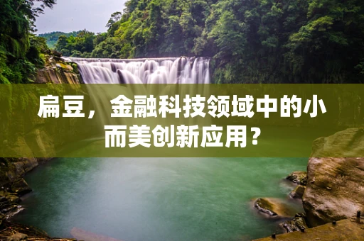 扁豆，金融科技领域中的小而美创新应用？