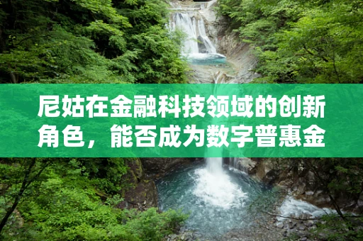 尼姑在金融科技领域的创新角色，能否成为数字普惠金融的‘隐秘推手’？