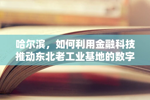 哈尔滨，如何利用金融科技推动东北老工业基地的数字化转型？