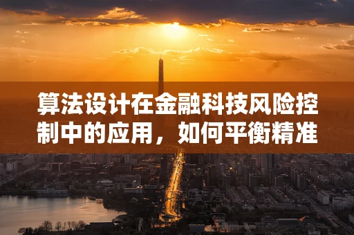 算法设计在金融科技风险控制中的应用，如何平衡精准度与效率？