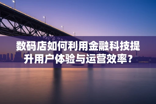 数码店如何利用金融科技提升用户体验与运营效率？