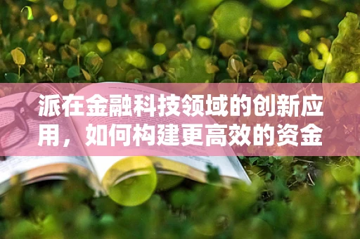 派在金融科技领域的创新应用，如何构建更高效的资金分配模型？