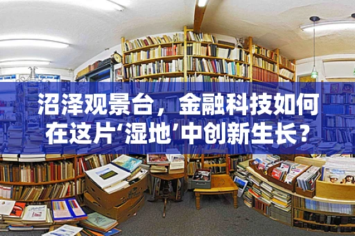 沼泽观景台，金融科技如何在这片‘湿地’中创新生长？