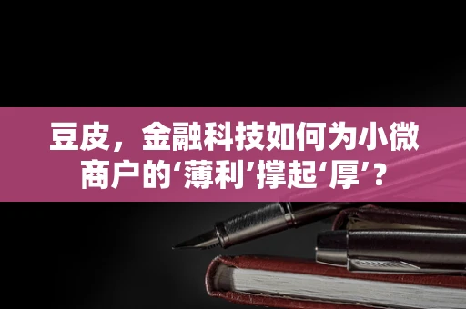 豆皮，金融科技如何为小微商户的‘薄利’撑起‘厚’？