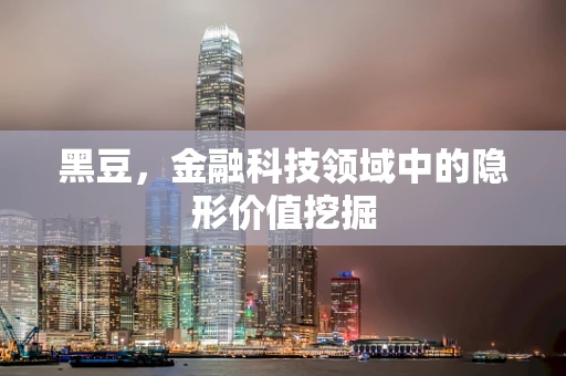 黑豆，金融科技领域中的隐形价值挖掘