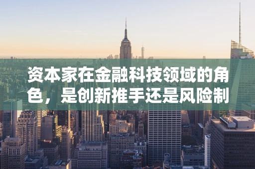 资本家在金融科技领域的角色，是创新推手还是风险制造者？