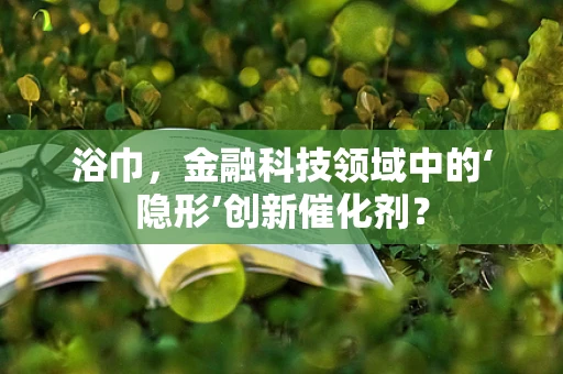 浴巾，金融科技领域中的‘隐形’创新催化剂？