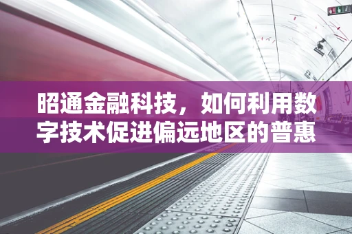 昭通金融科技，如何利用数字技术促进偏远地区的普惠金融发展？