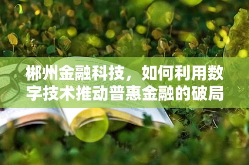 郴州金融科技，如何利用数字技术推动普惠金融的破局之问？