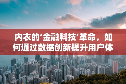 内衣的‘金融科技’革命，如何通过数据创新提升用户体验？