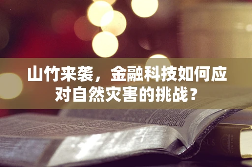 山竹来袭，金融科技如何应对自然灾害的挑战？