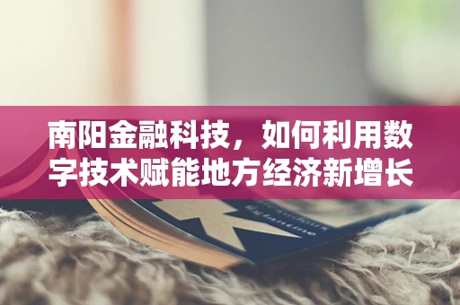 南阳金融科技，如何利用数字技术赋能地方经济新增长？