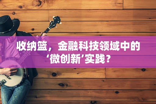 收纳篮，金融科技领域中的‘微创新’实践？