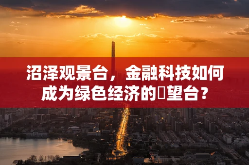 沼泽观景台，金融科技如何成为绿色经济的瞭望台？