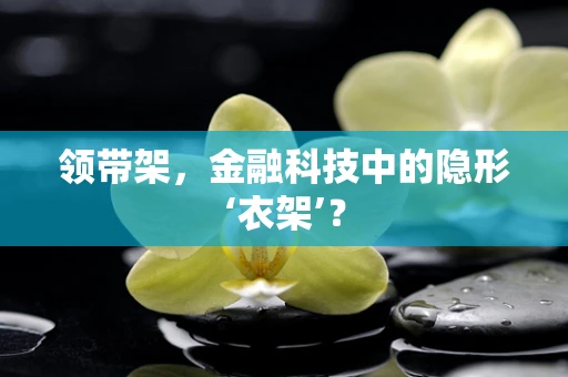 领带架，金融科技中的隐形‘衣架’？