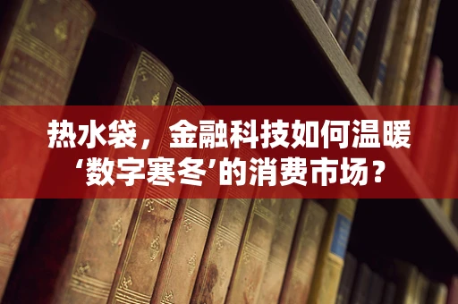 热水袋，金融科技如何温暖‘数字寒冬’的消费市场？