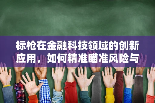 标枪在金融科技领域的创新应用，如何精准瞄准风险与效率？