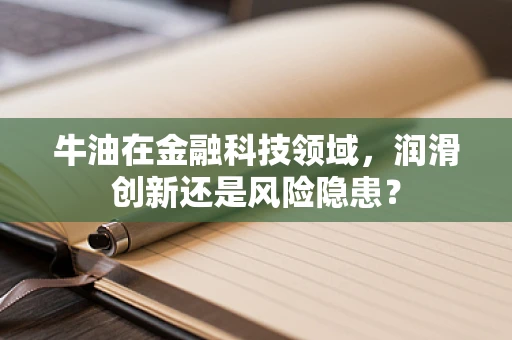 牛油在金融科技领域，润滑创新还是风险隐患？