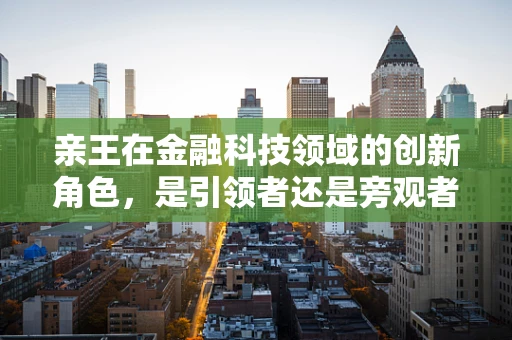 亲王在金融科技领域的创新角色，是引领者还是旁观者？