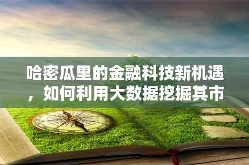 哈密瓜里的金融科技新机遇，如何利用大数据挖掘其市场潜力？