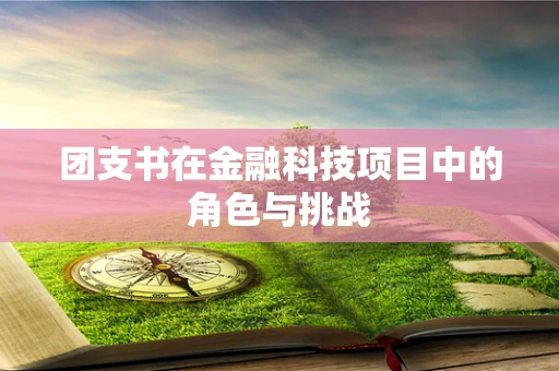 团支书在金融科技项目中的角色与挑战