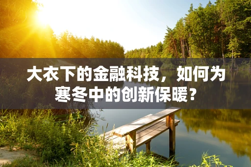 大衣下的金融科技，如何为寒冬中的创新保暖？