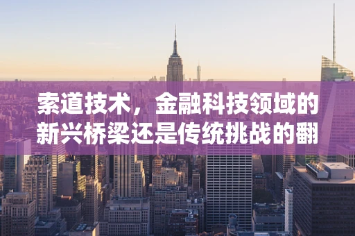 索道技术，金融科技领域的新兴桥梁还是传统挑战的翻新？