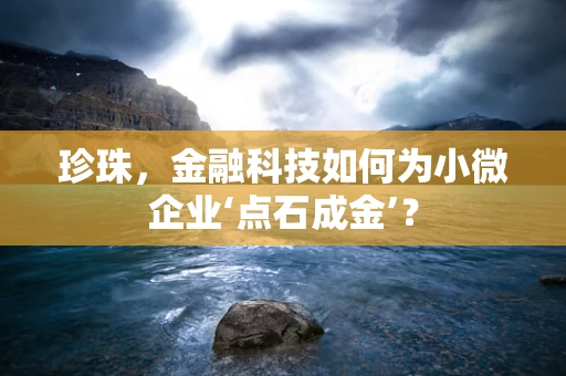 珍珠，金融科技如何为小微企业‘点石成金’？