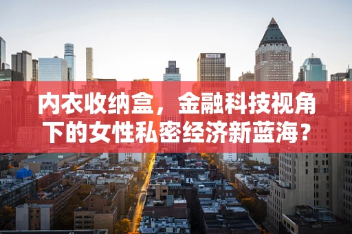 内衣收纳盒，金融科技视角下的女性私密经济新蓝海？