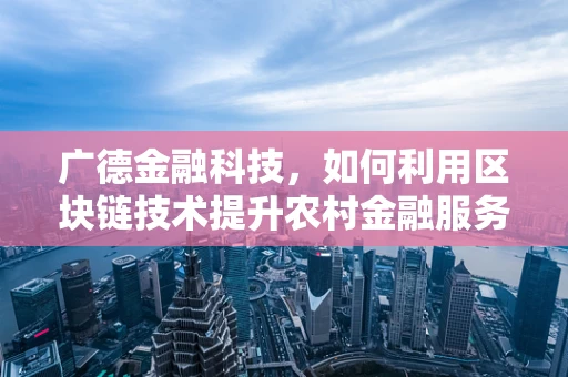 广德金融科技，如何利用区块链技术提升农村金融服务效率？