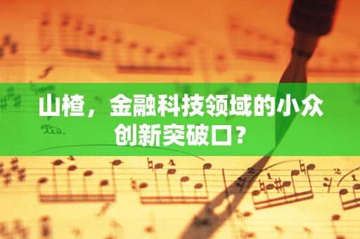 山楂，金融科技领域的小众创新突破口？