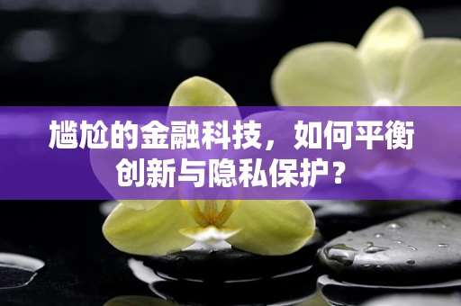 尴尬的金融科技，如何平衡创新与隐私保护？