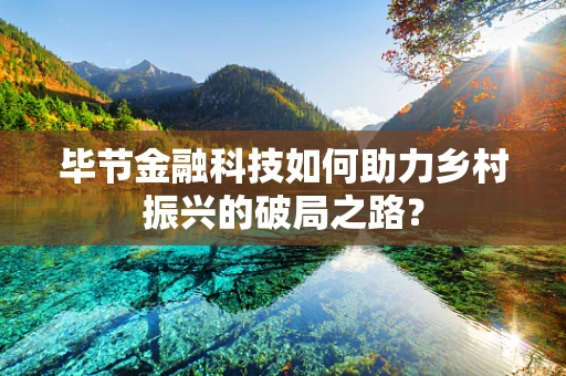 毕节金融科技如何助力乡村振兴的破局之路？