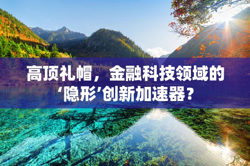 高顶礼帽，金融科技领域的‘隐形’创新加速器？