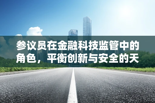 参议员在金融科技监管中的角色，平衡创新与安全的天平？