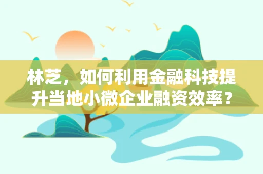 林芝，如何利用金融科技提升当地小微企业融资效率？