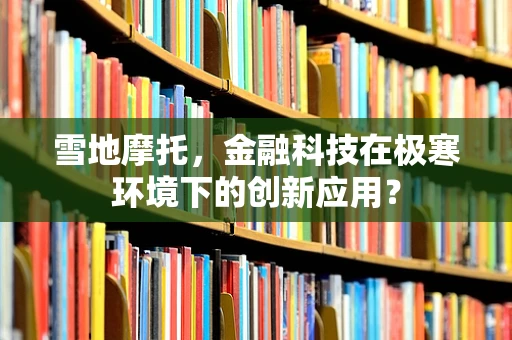 雪地摩托，金融科技在极寒环境下的创新应用？