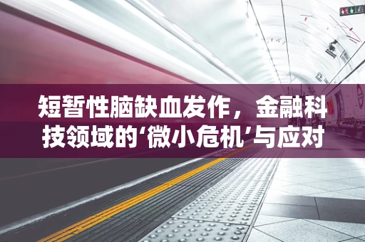 短暂性脑缺血发作，金融科技领域的‘微小危机’与应对策略