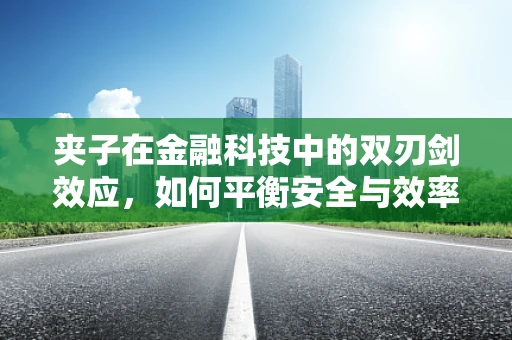 夹子在金融科技中的双刃剑效应，如何平衡安全与效率？