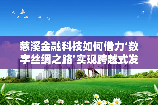 慈溪金融科技如何借力‘数字丝绸之路’实现跨越式发展？