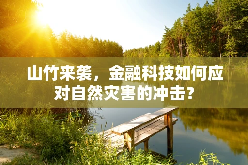 山竹来袭，金融科技如何应对自然灾害的冲击？