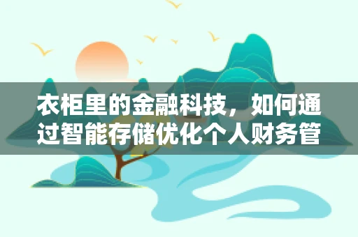 衣柜里的金融科技，如何通过智能存储优化个人财务管理？