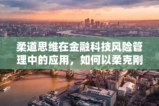 柔道思维在金融科技风险管理中的应用，如何以柔克刚，化解风险？