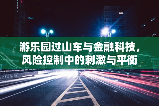 游乐园过山车与金融科技，风险控制中的刺激与平衡