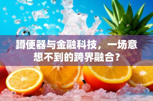 蹲便器与金融科技，一场意想不到的跨界融合？