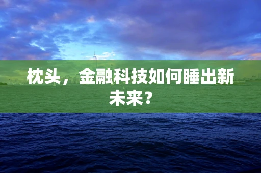 枕头，金融科技如何睡出新未来？