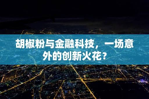 胡椒粉与金融科技，一场意外的创新火花？