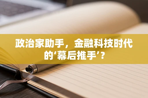 政治家助手，金融科技时代的‘幕后推手’？